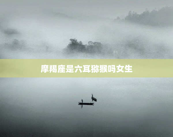 摩羯座是六耳獼猴嗎女生