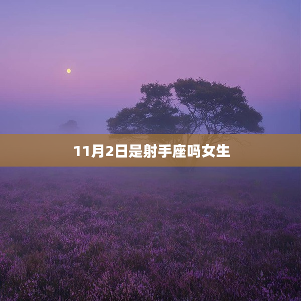 11月2日是射手座嗎女生