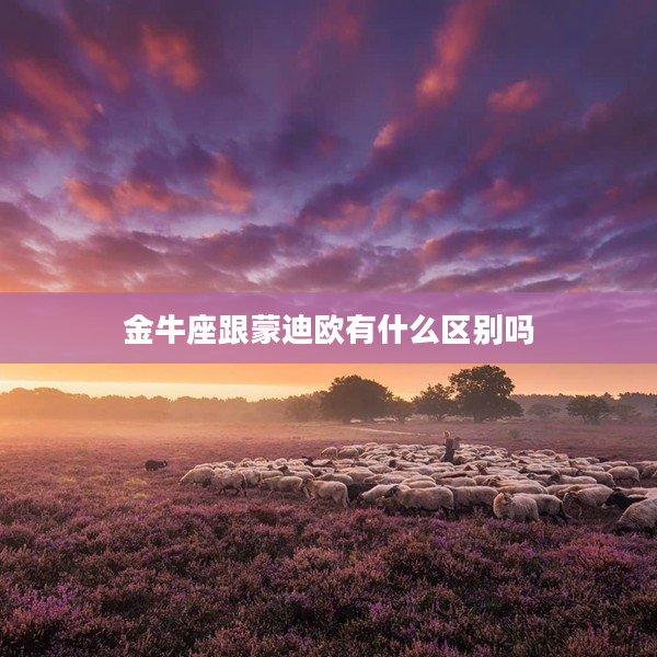 金牛座跟蒙迪歐有什么區(qū)別嗎