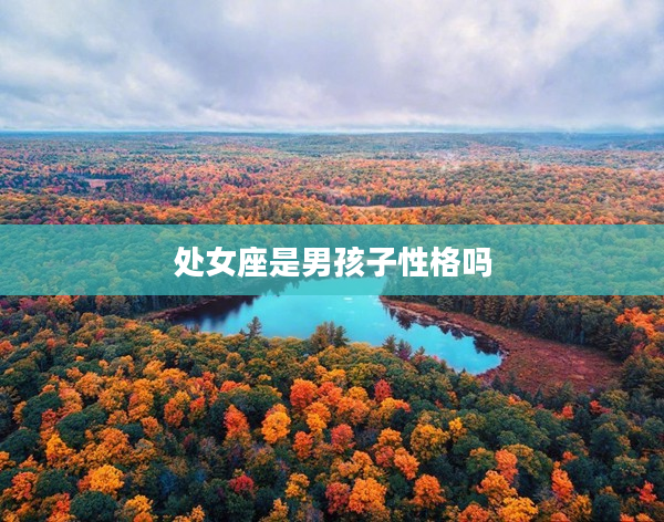 處女座是男孩子性格嗎