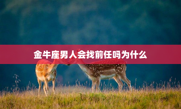 金牛座男人會找前任嗎為什么