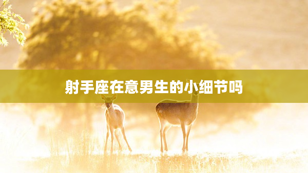 射手座在意男生的小細節嗎