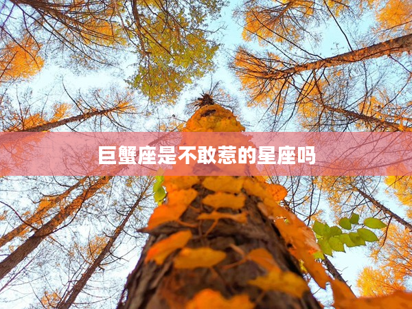 巨蟹座是不敢惹的星座嗎