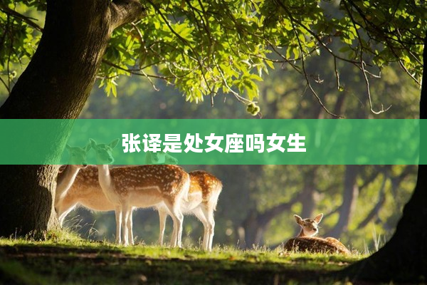 張譯是處女座嗎女生