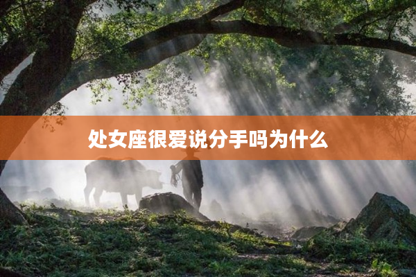 處女座很愛說分手嗎為什么