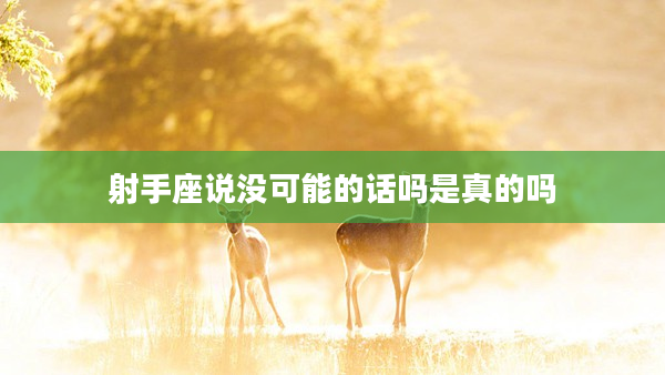 射手座說沒可能的話嗎是真的嗎