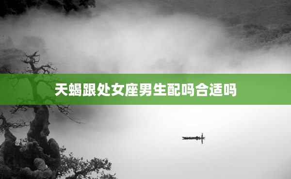 天蝎跟處女座男生配嗎合適嗎
