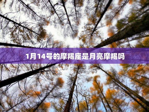 1月14號的摩羯座是月亮摩羯嗎