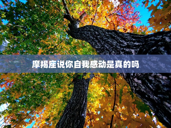 摩羯座說你自我感動是真的嗎