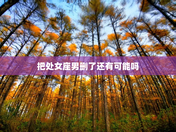 把處女座男刪了還有可能嗎