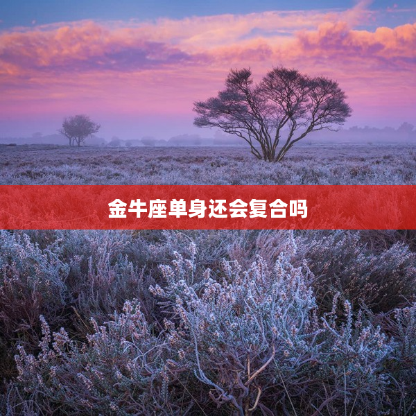 金牛座單身還會復合嗎