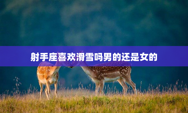 射手座喜歡滑雪嗎男的還是女的