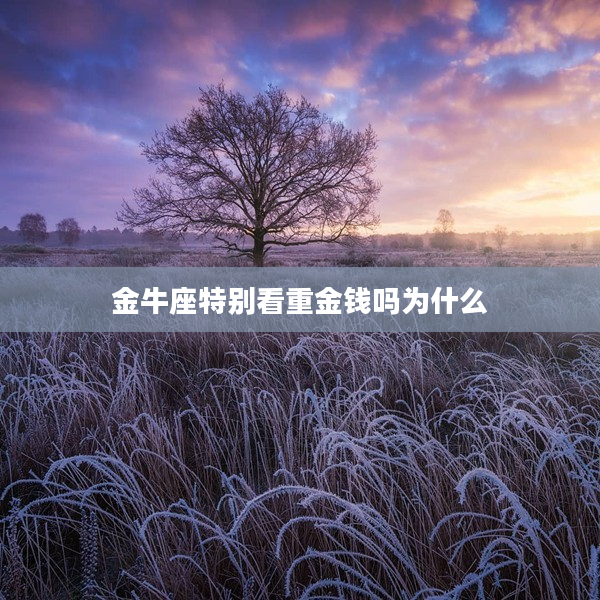 金牛座特別看重金錢嗎為什么