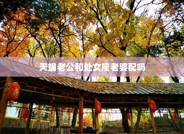 天蝎老公和處女座老婆配嗎