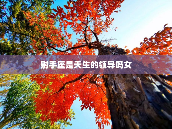 射手座是天生的領導嗎女