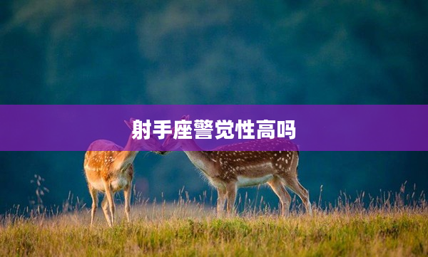 射手座警覺性高嗎