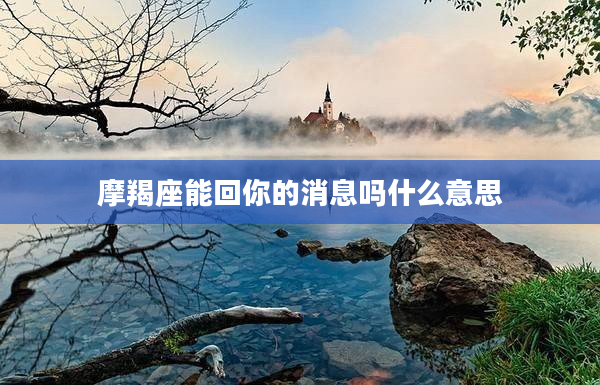 摩羯座能回你的消息嗎什么意思