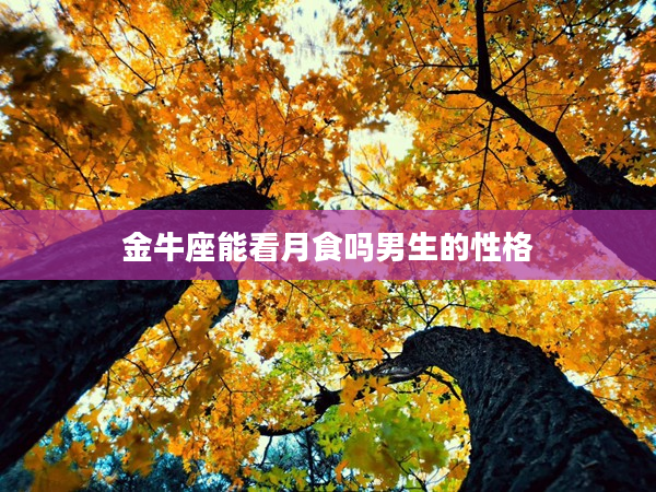 金牛座能看月食嗎男生的性格