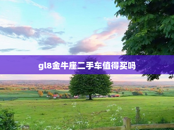 gl8金牛座二手車(chē)值得買(mǎi)嗎