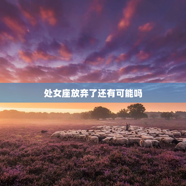 處女座放棄了還有可能嗎