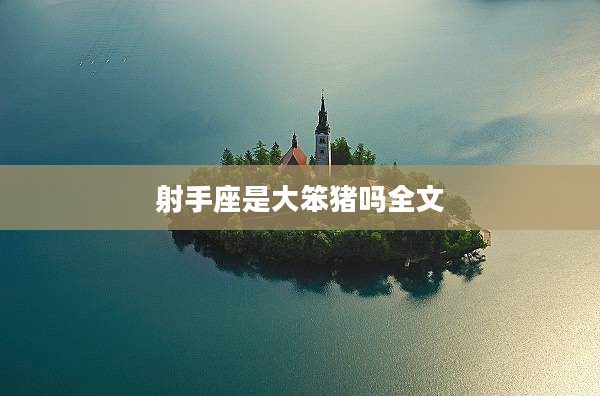 射手座是大笨豬嗎全文