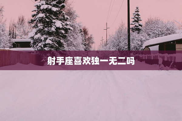 射手座喜歡獨一無二嗎