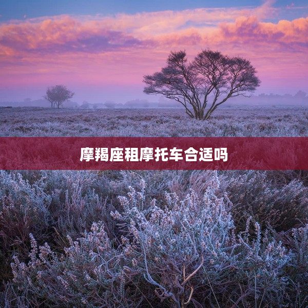 摩羯座租摩托車合適嗎