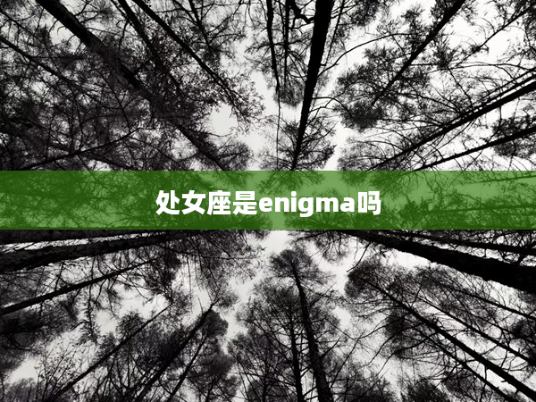 處女座是enigma嗎