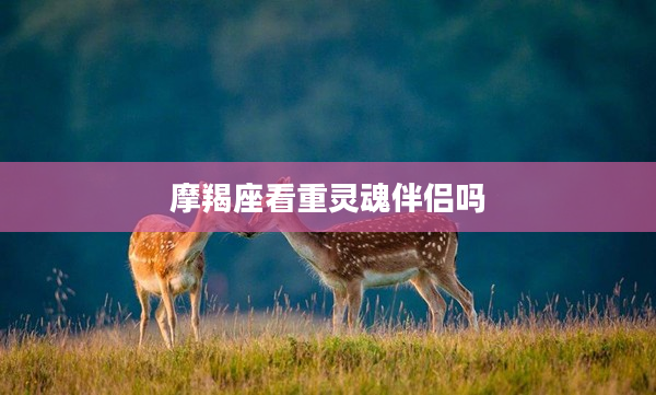 摩羯座看重靈魂伴侶嗎