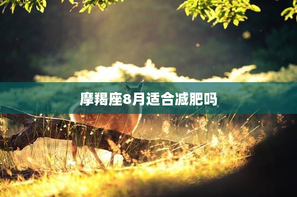 摩羯座8月適合減肥嗎