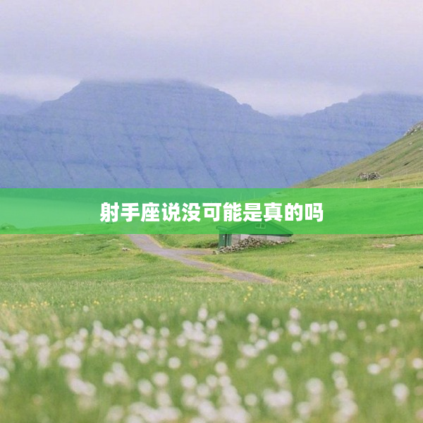 射手座說沒可能是真的嗎