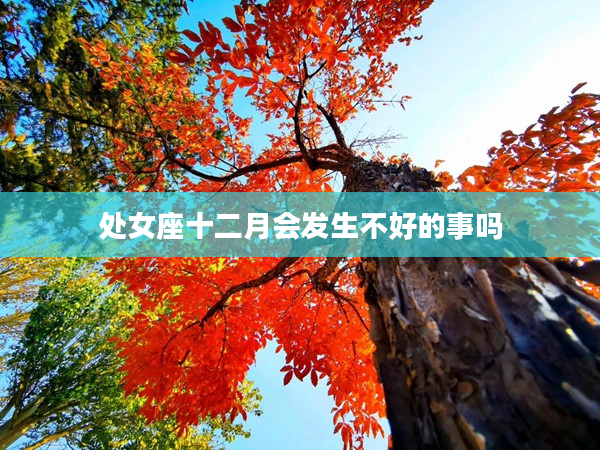 處女座十二月會發生不好的事嗎