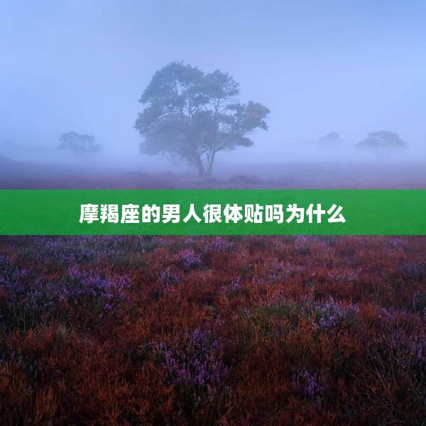 摩羯座的男人很體貼嗎為什么