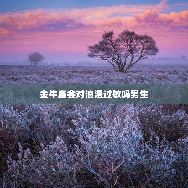 金牛座會對浪漫過敏嗎男生