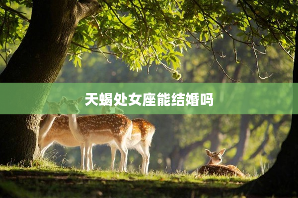 天蝎處女座能結婚嗎