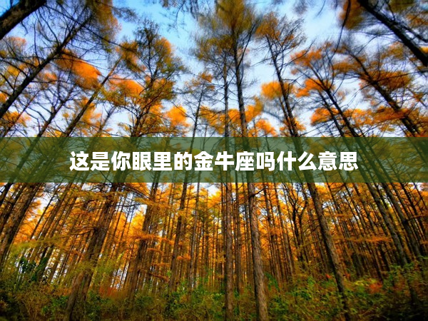 這是你眼里的金牛座嗎什么意思