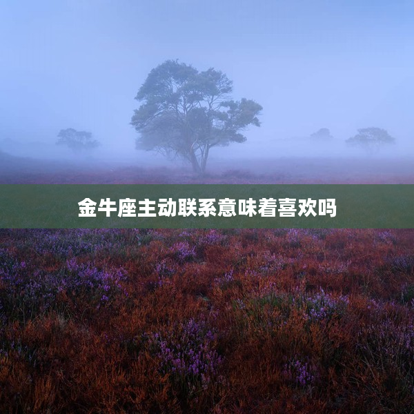 金牛座主動聯系意味著喜歡嗎