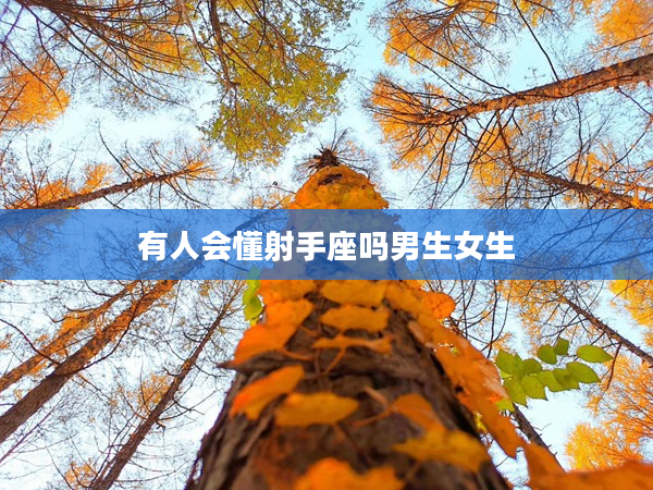 有人會懂射手座嗎男生女生