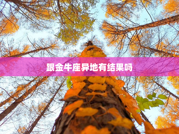 跟金牛座異地有結(jié)果嗎