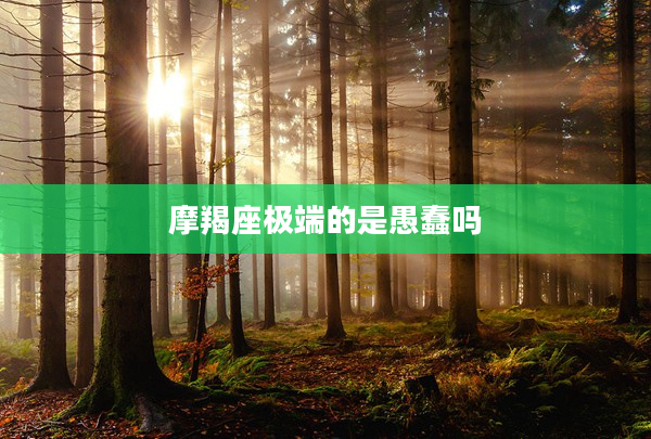 摩羯座極端的是愚蠢嗎