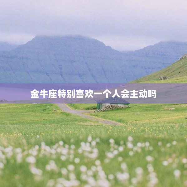 金牛座特別喜歡一個人會主動嗎