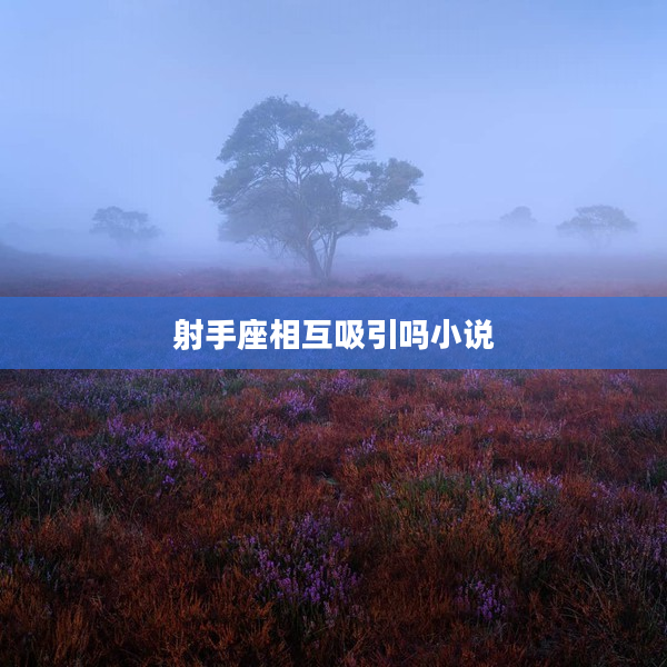 射手座相互吸引嗎小說