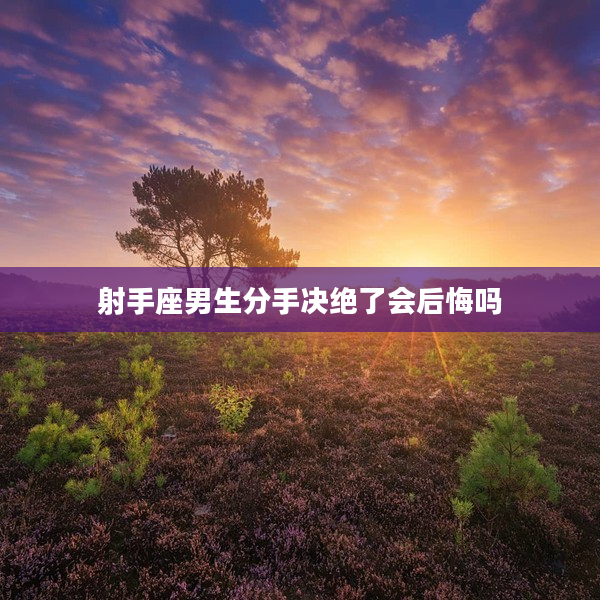 射手座男生分手決絕了會(huì)后悔嗎