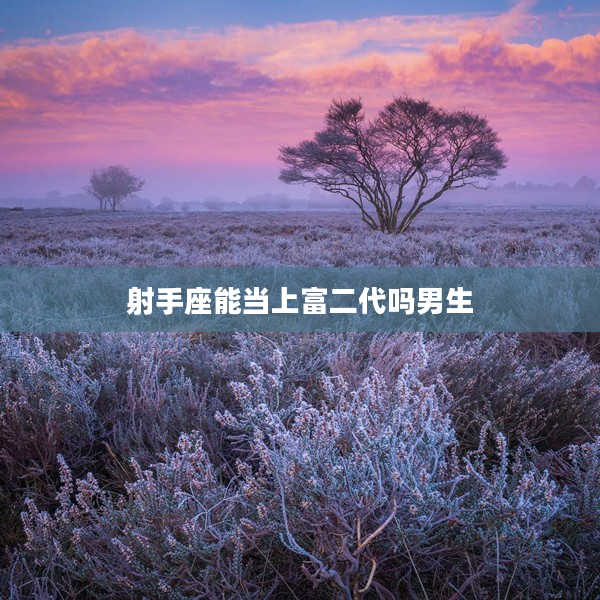 射手座能當(dāng)上富二代嗎男生