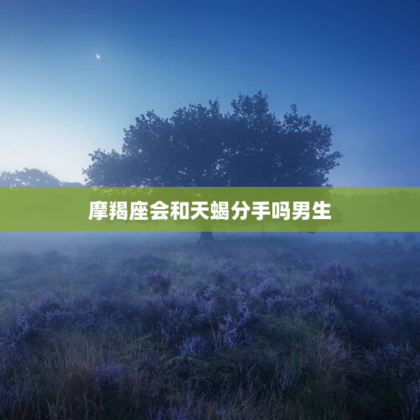 摩羯座會和天蝎分手嗎男生