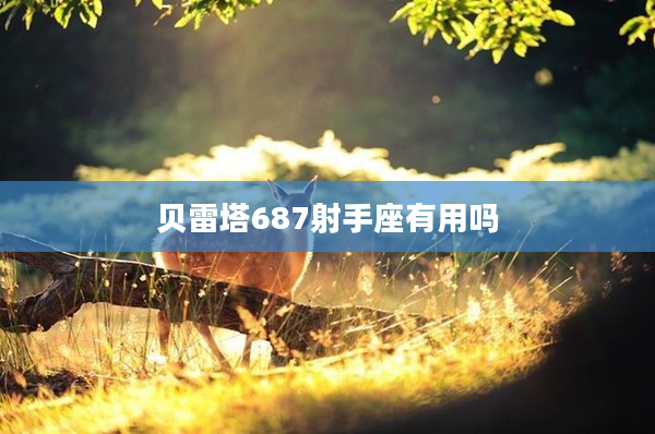 貝雷塔687射手座有用嗎