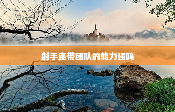 射手座帶團隊的能力強嗎