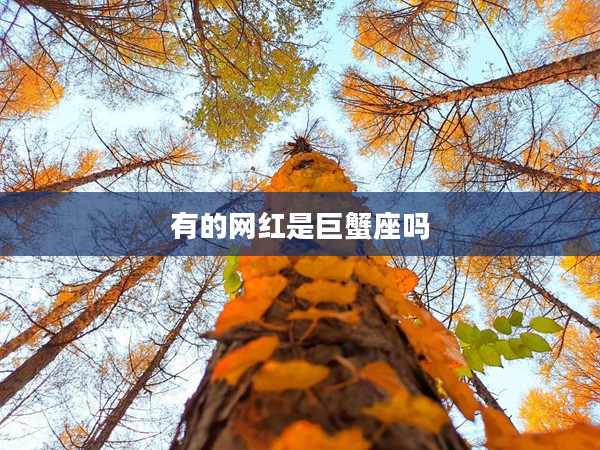 有的網紅是巨蟹座嗎