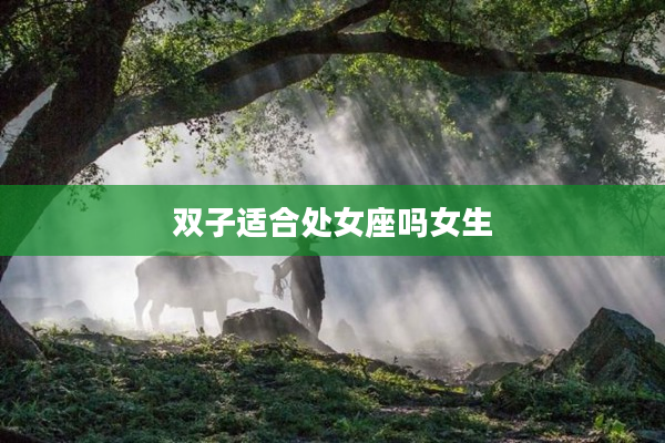 雙子適合處女座嗎女生