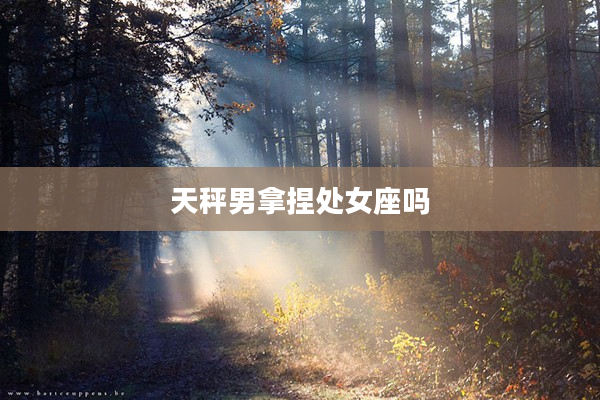 天秤男拿捏處女座嗎